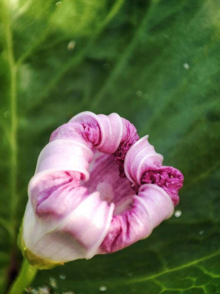 Photograph by Meilany Wijaya