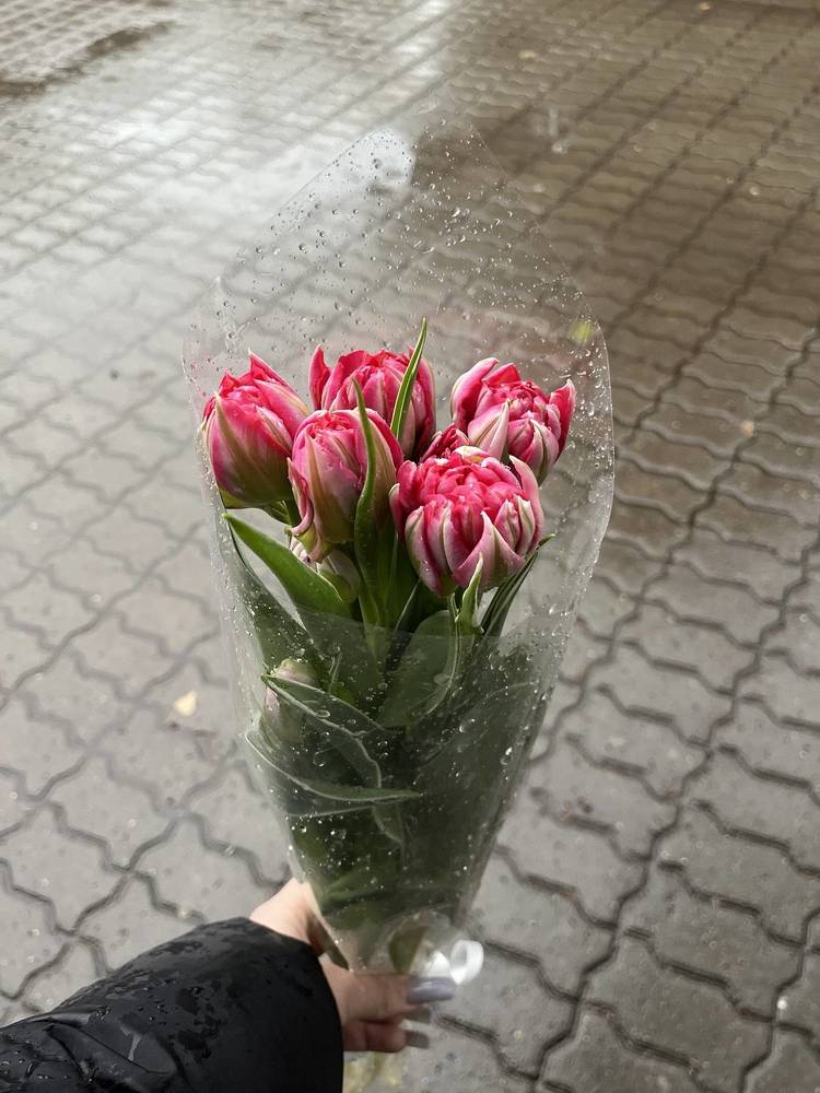 Photograph by София Белопольская