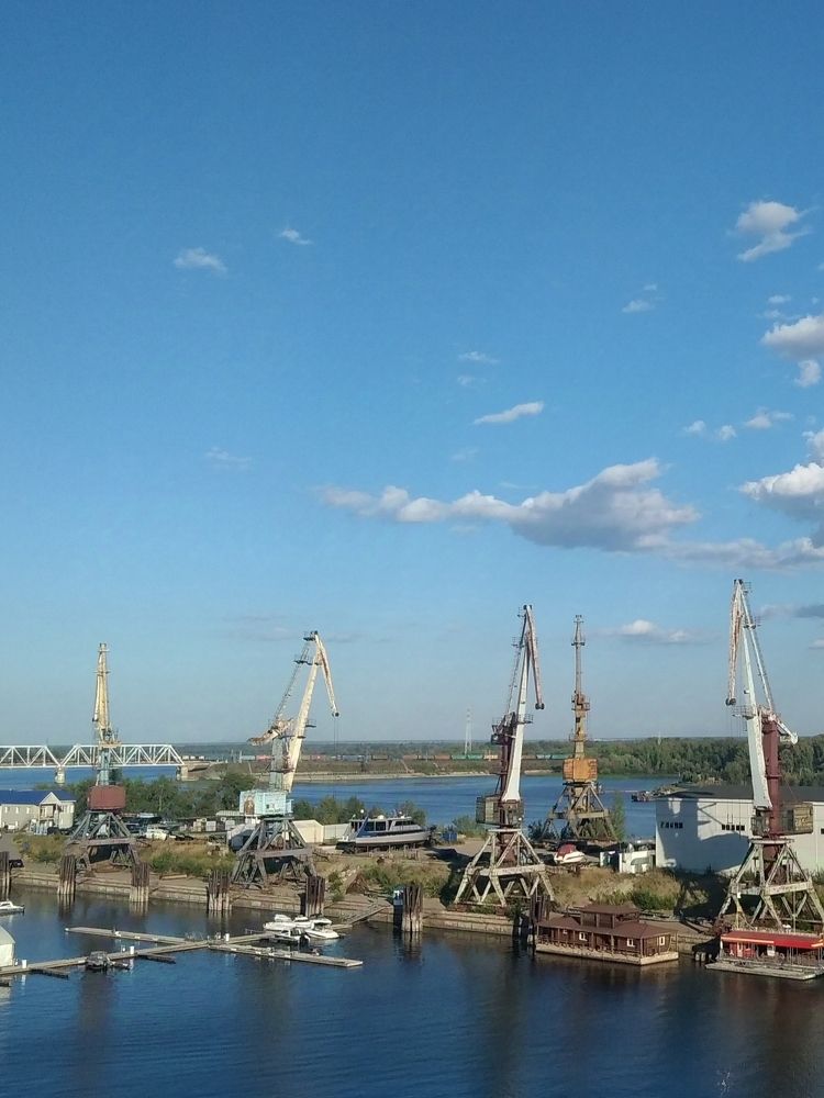 Photo #11442726