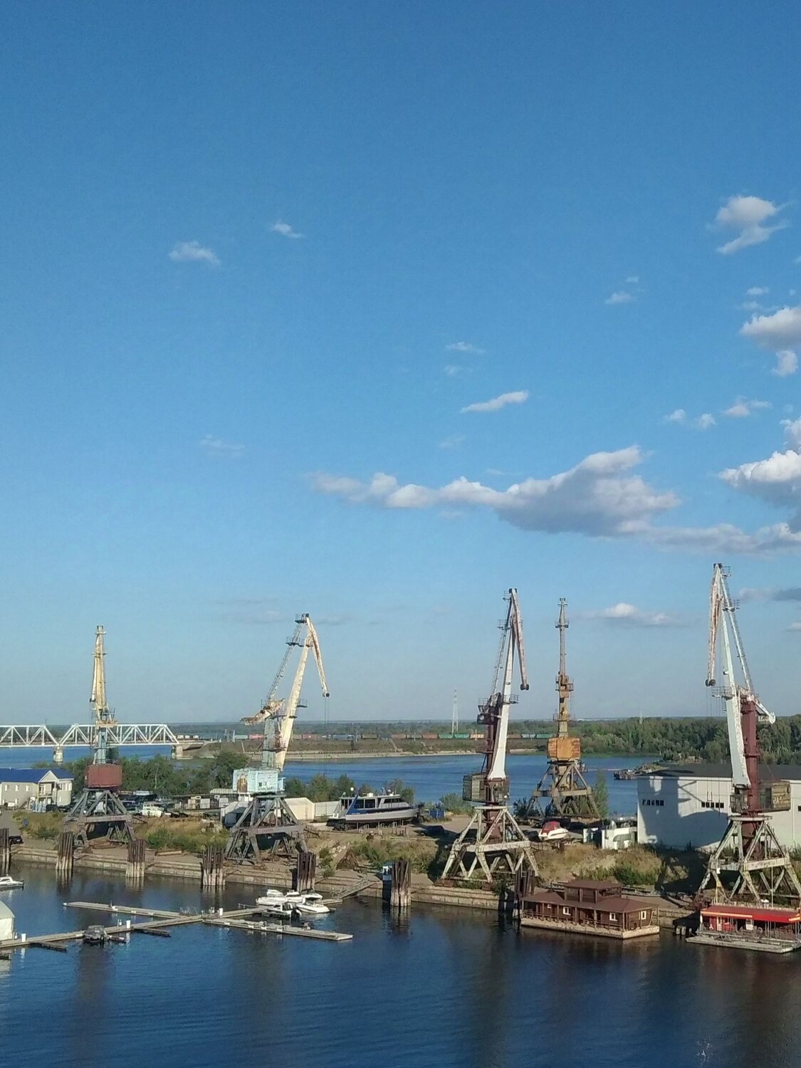 Photo #11442726