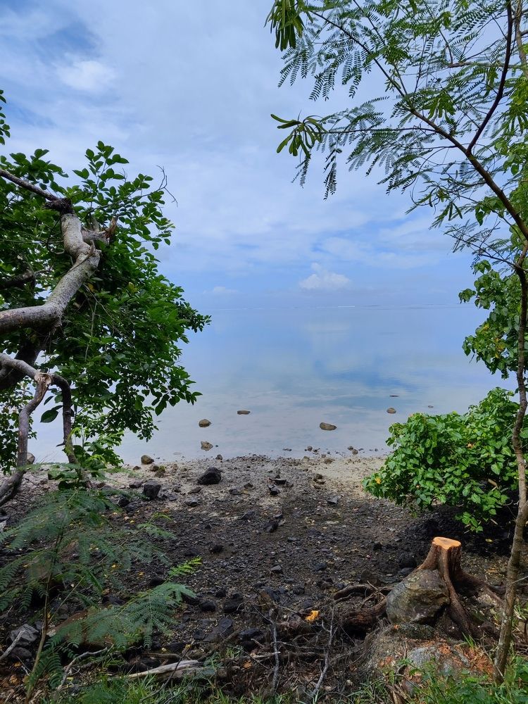 Photograph by Яна
