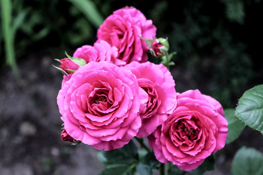 Photograph by Любовь Иванова