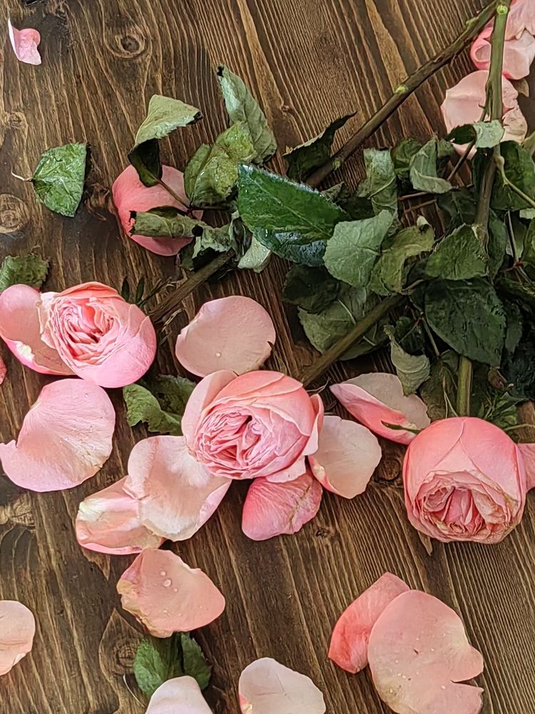 Photograph by Елена Есипова