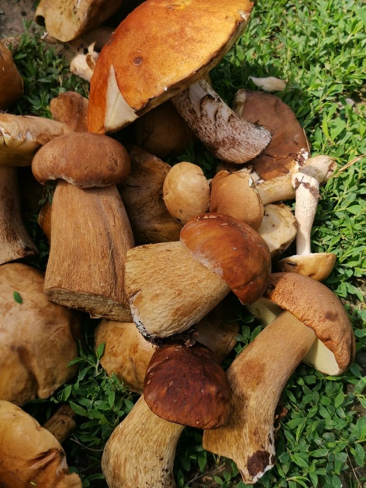 Photograph by Елена Есипова