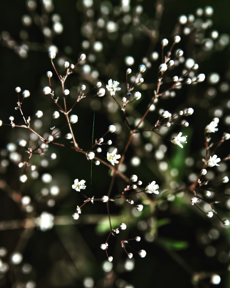 Пробуждение