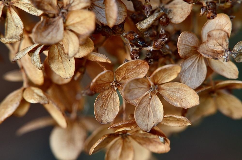 Осень может быть прекрасна