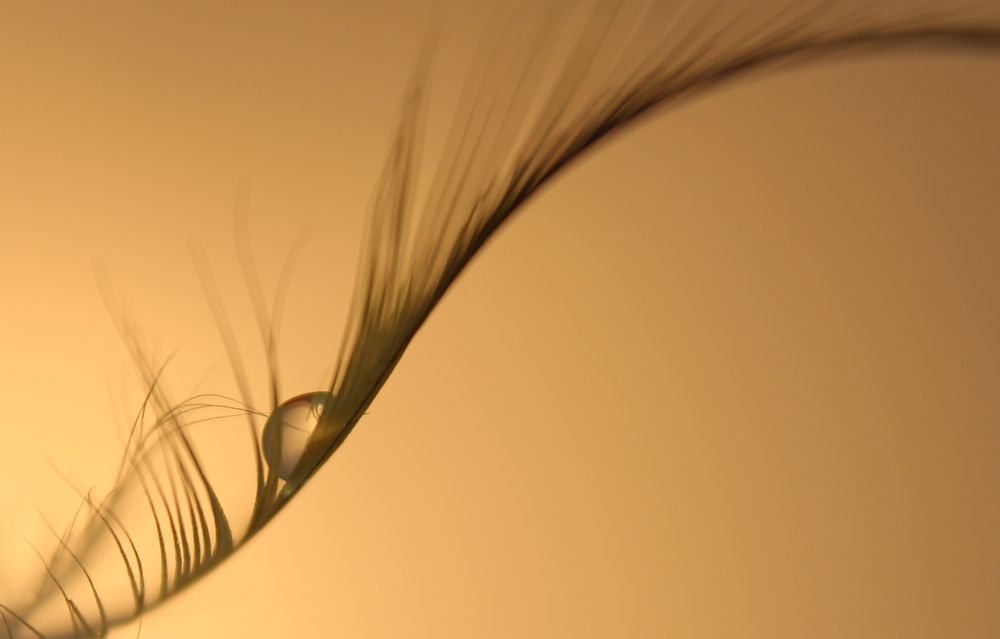 Photograph by Наталья Волкова