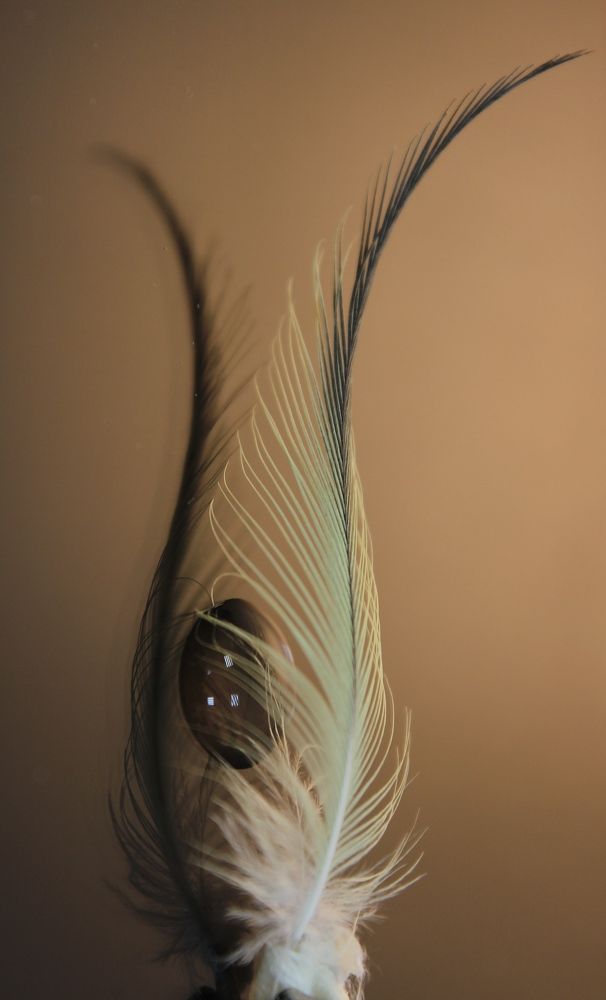 Photograph by Наталья Волкова