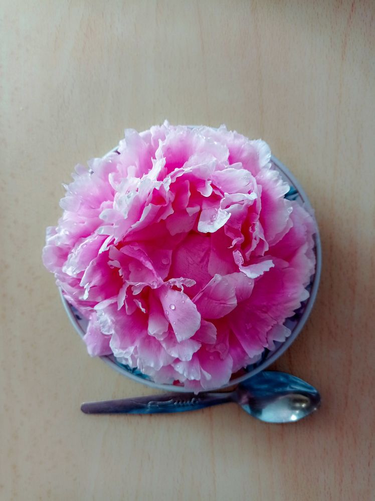 Photograph by Ирина Немкина