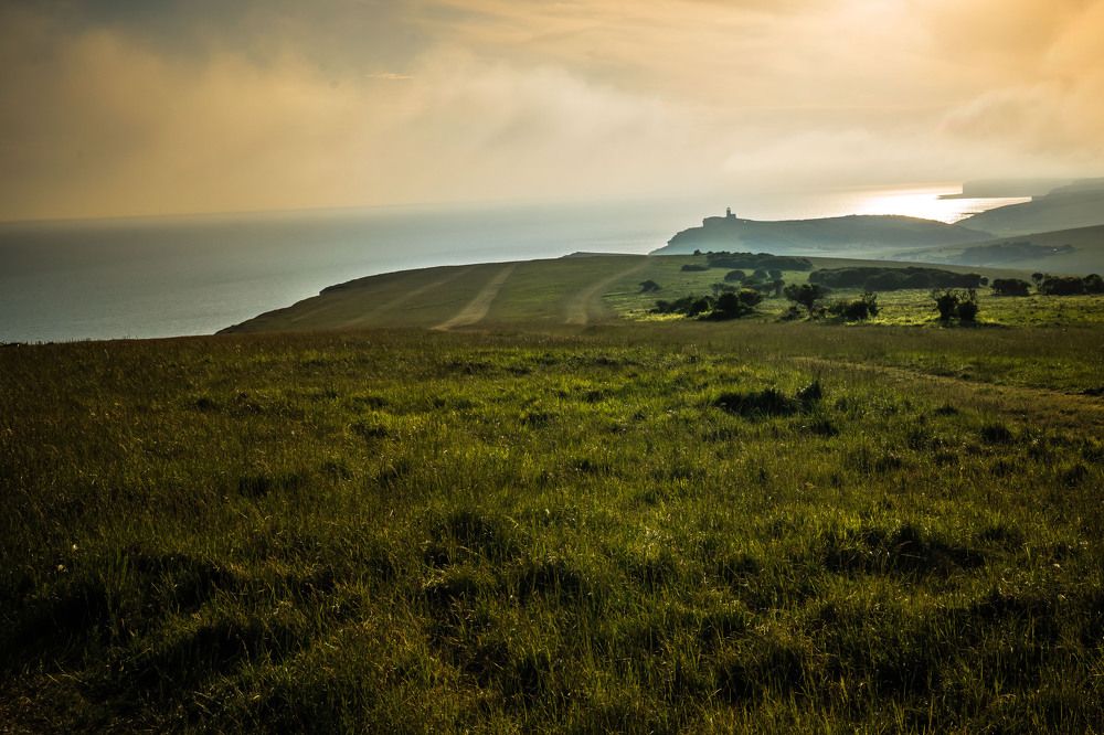 Photograph by Raimondas Zavackis