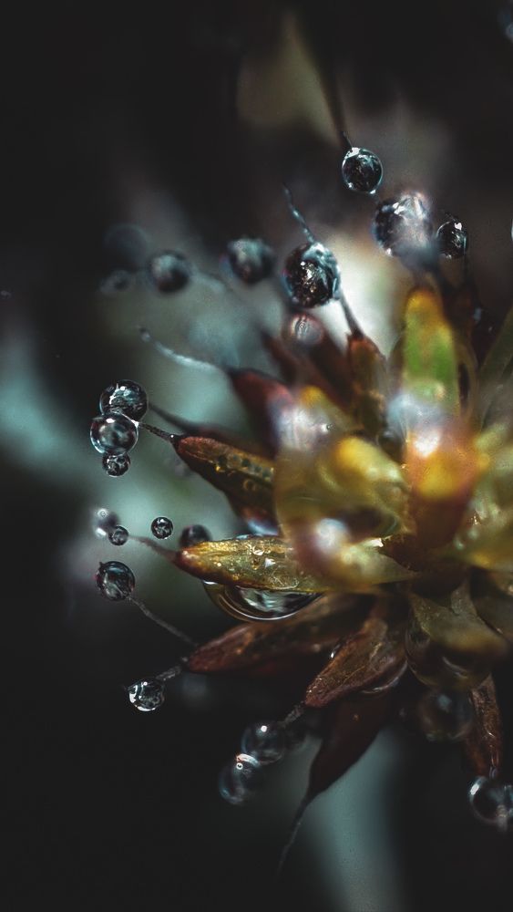 Photograph by Анечка Машенькина