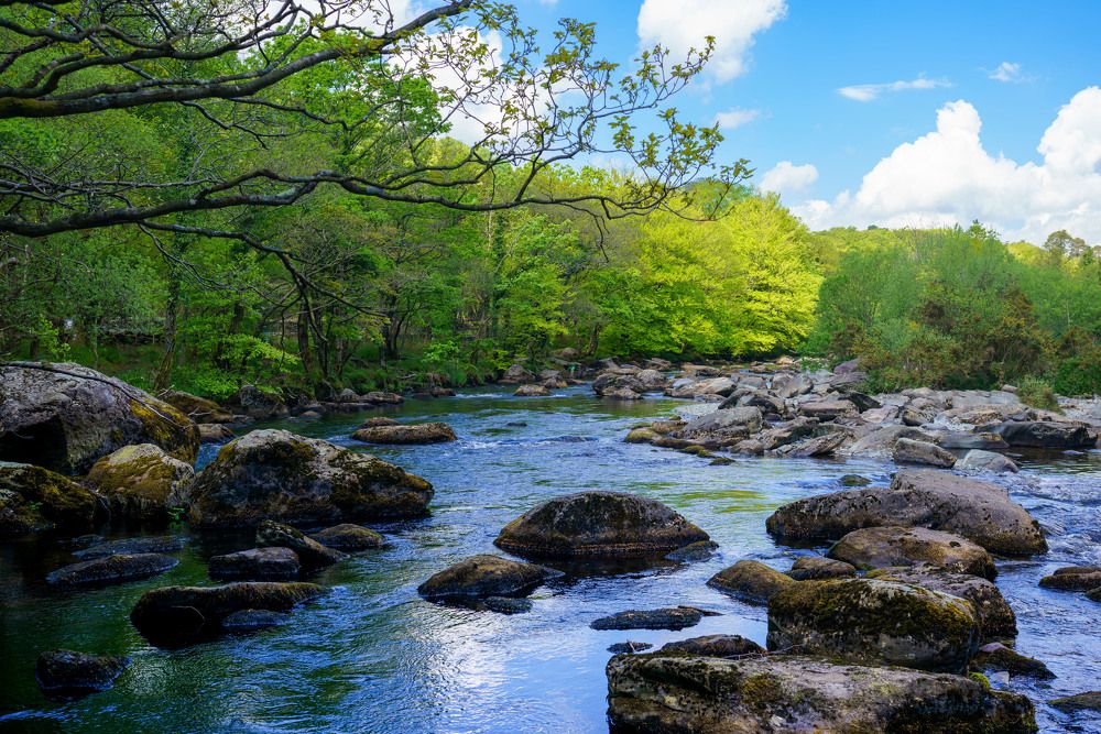 Photograph by Raimondas Zavackis