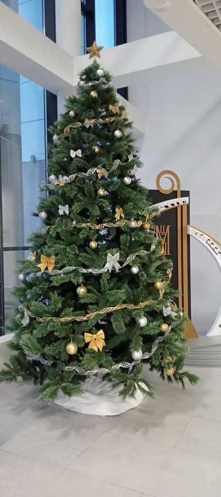 Photo #11443012