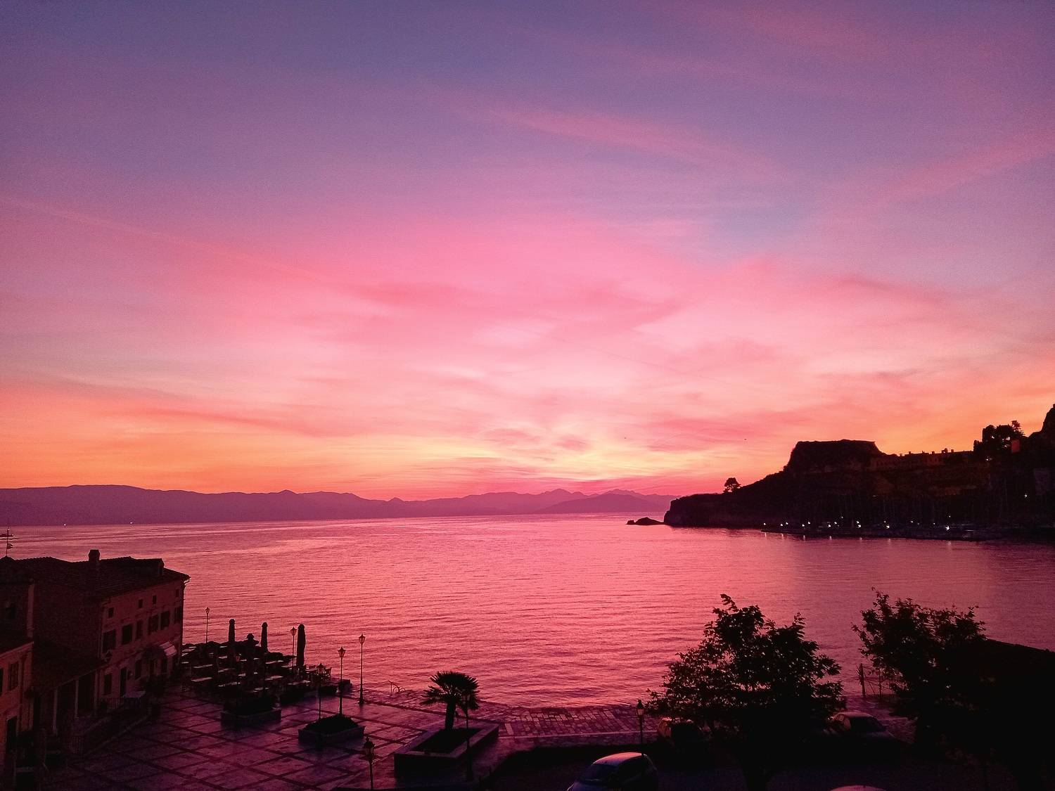 Pink sea