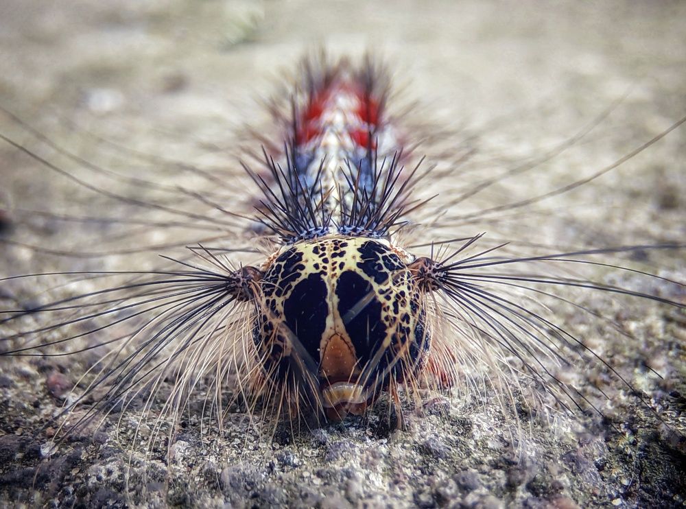 Photograph by Natalia Bolotenkova