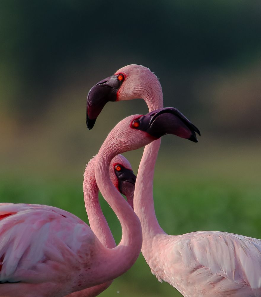 Photograph by Nirav Mehta