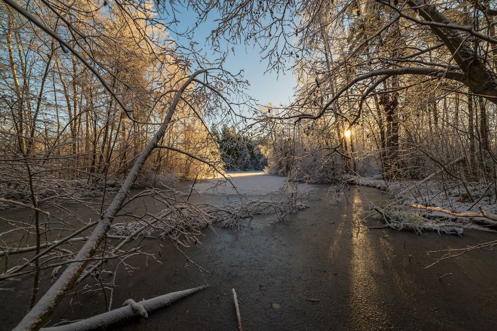 Фотография автора Мика Петров