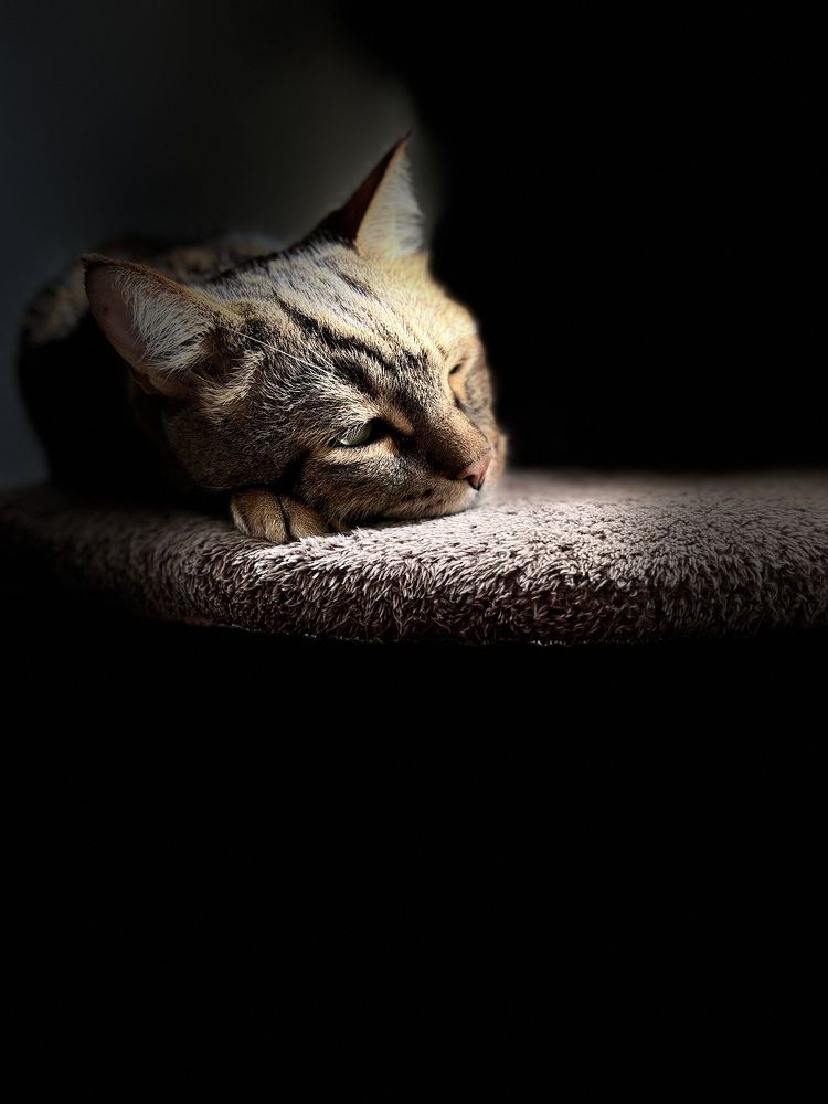 Photograph by Sandra Bruttomesso