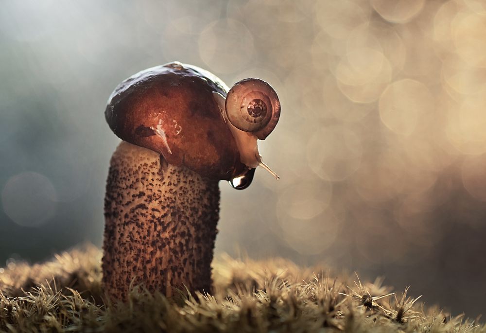 Photograph by Лапшина Владлена