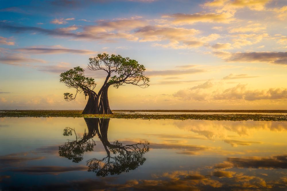 Photograph by Dmitry Ishniyazov