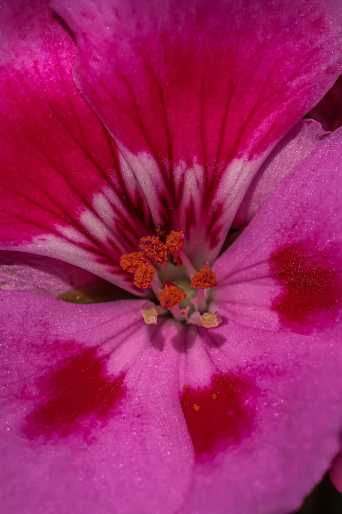 Photograph by Аня Косс