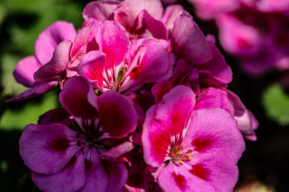 Photograph by Аня Косс