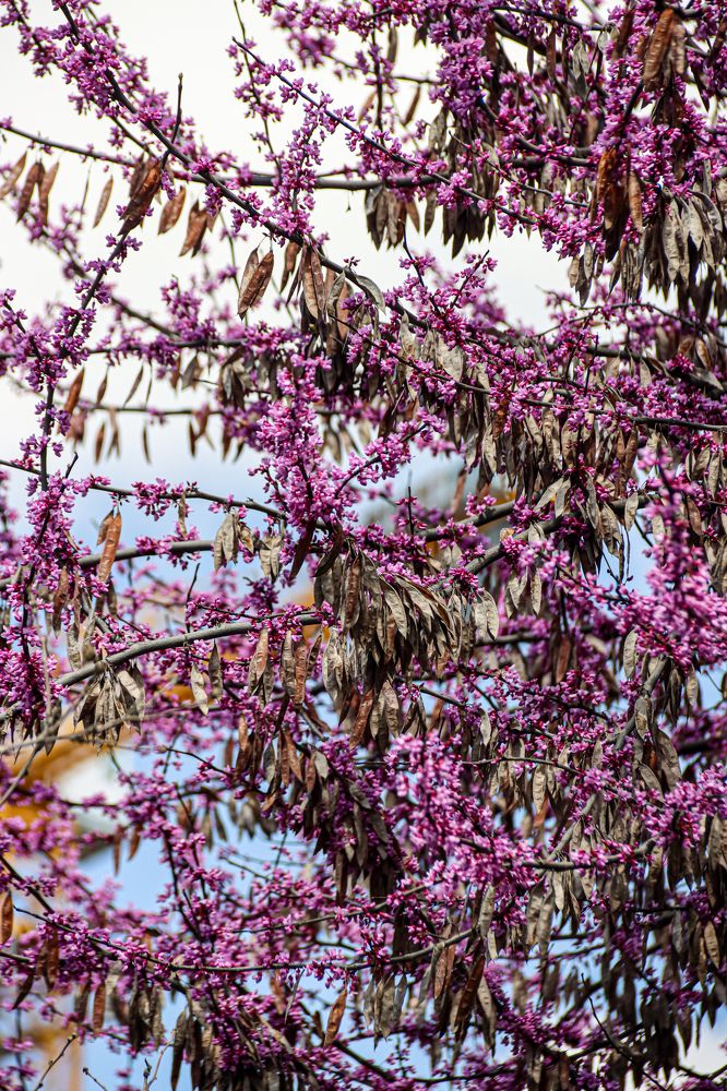 Photograph by Аня Косс