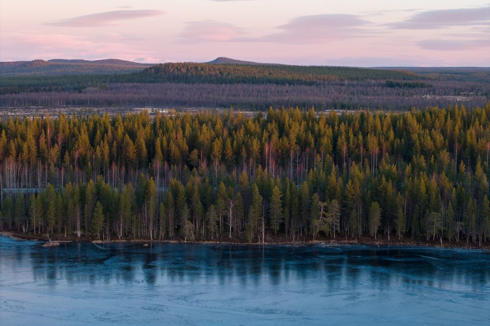 Photograph by Дарья Карамышева