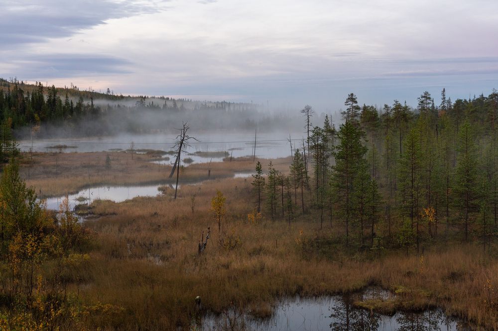 Photograph by Дарья Карамышева