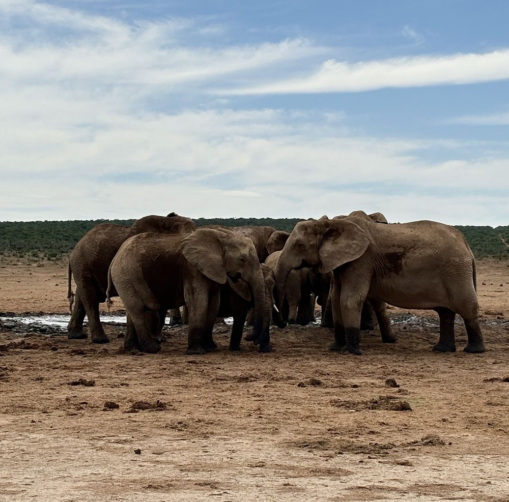 Photograph by Sandra Bruttomesso