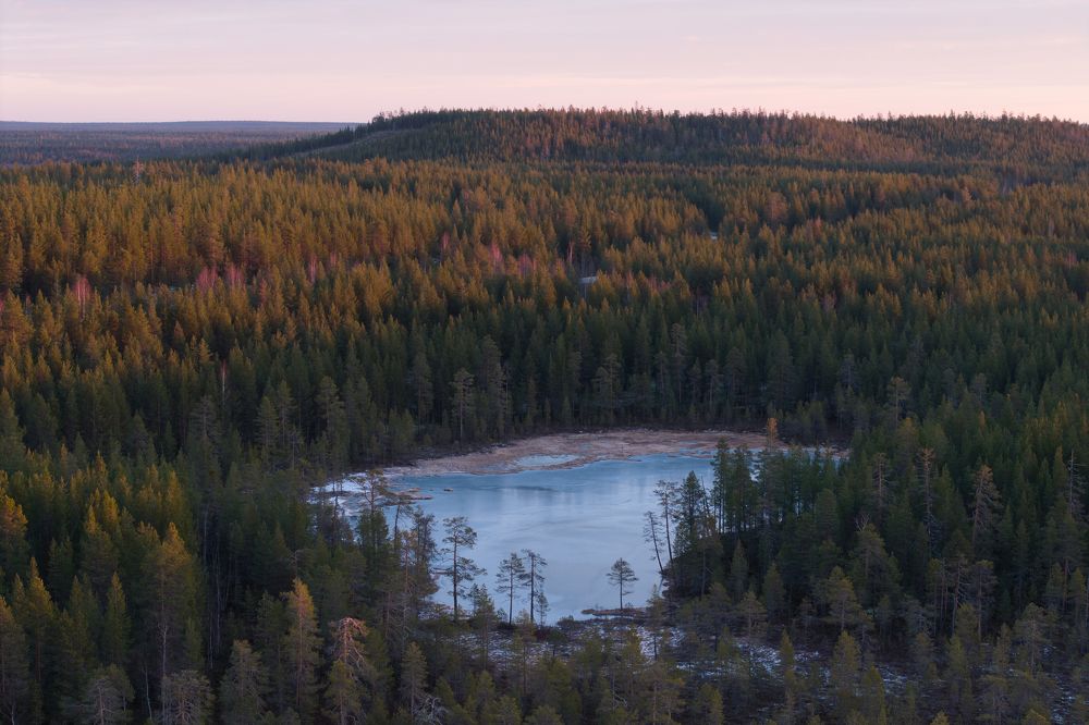 Photograph by Дарья Карамышева