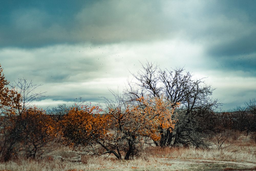 Фотография автора Елена Чиликина