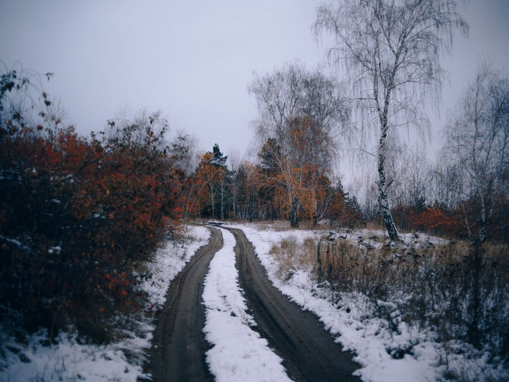 Фотография автора Елена Чиликина