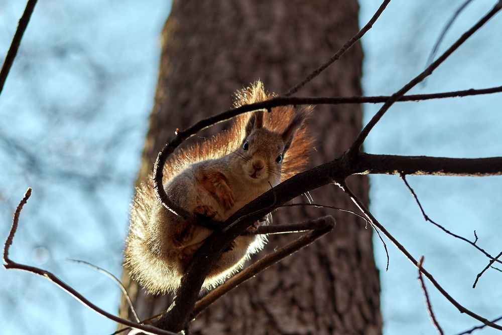 Мне сверху видно все.....