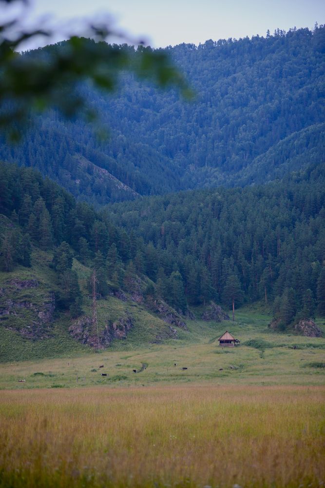 Photograph by Зоткин Константин