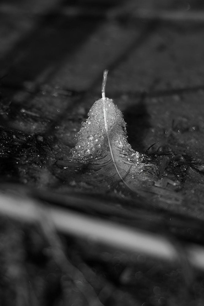 Photograph by Vineta Virse