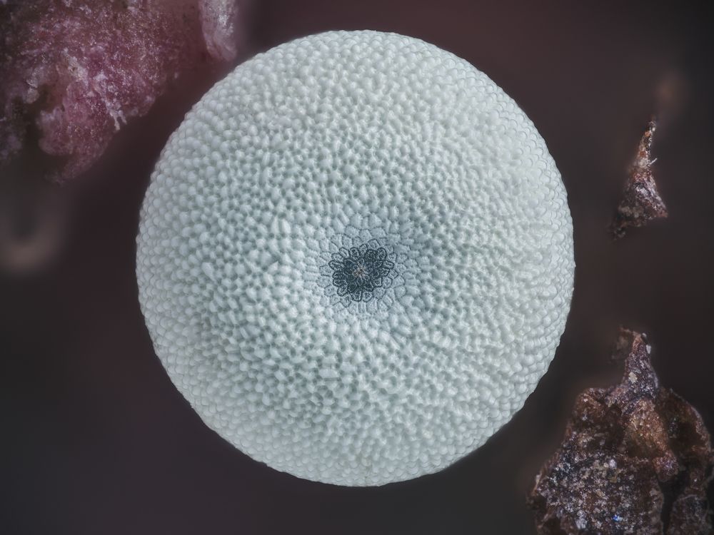 Photograph by Yuan Ji