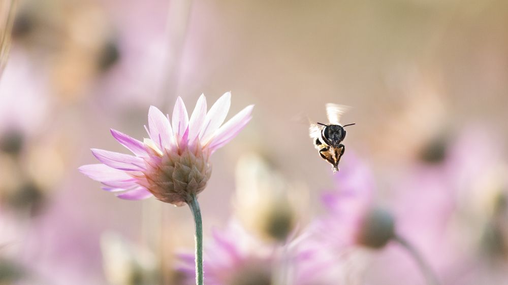 Photograph by Vania Tonova