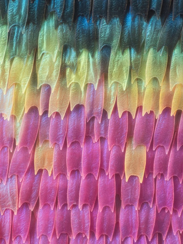 Photograph by Yuan Ji