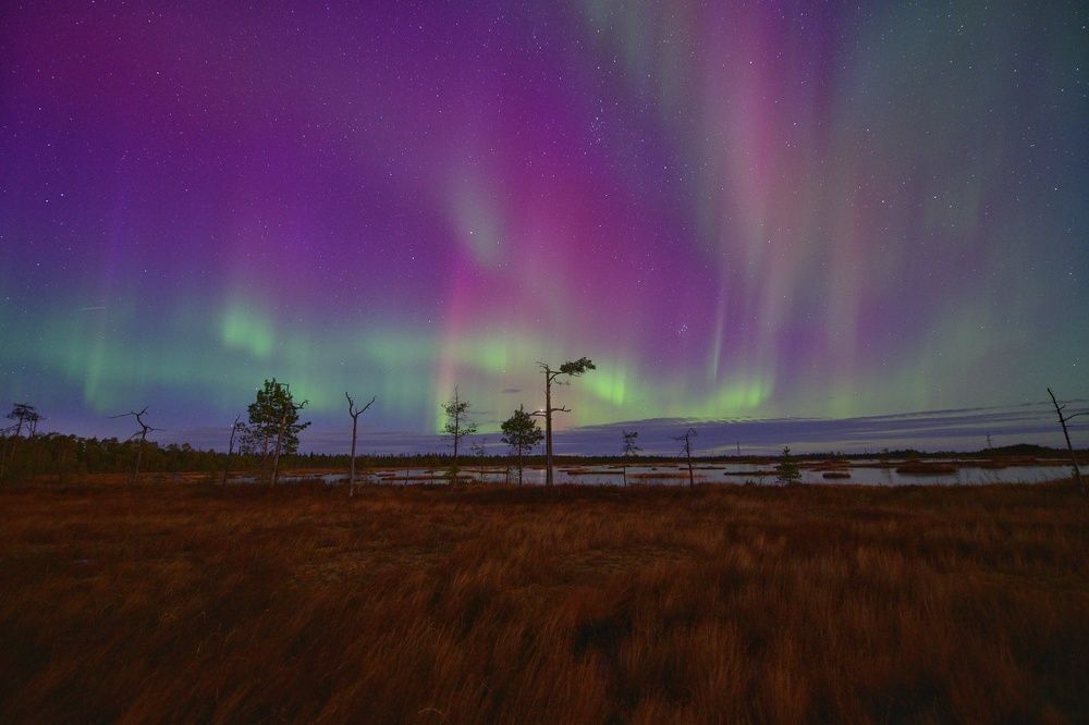 Photograph by Margareth Tikhonova