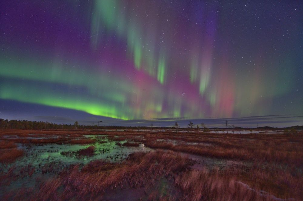 Photograph by Margareth Tikhonova