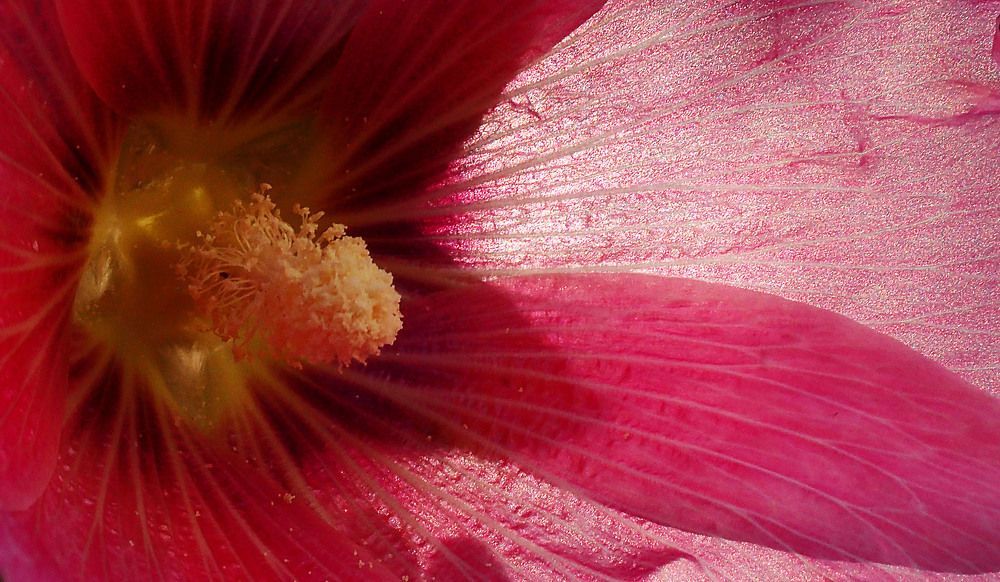 Photograph by Станислав Карташов