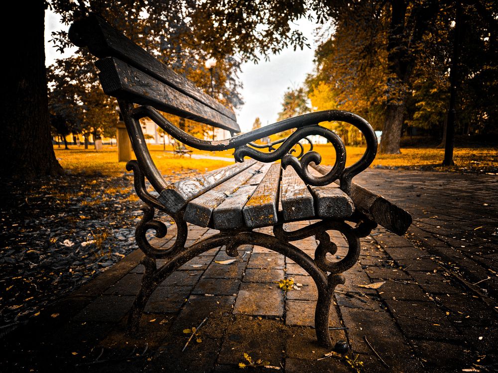 Photograph by Zdenko