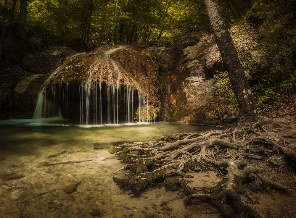 Photograph by Владимир Яковлев