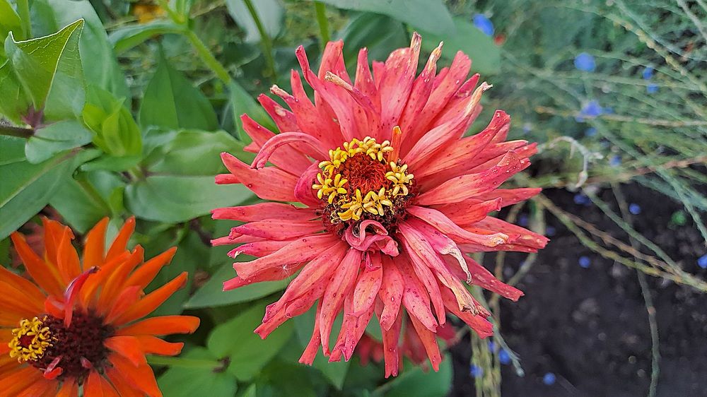 Photograph by Николай Худяков