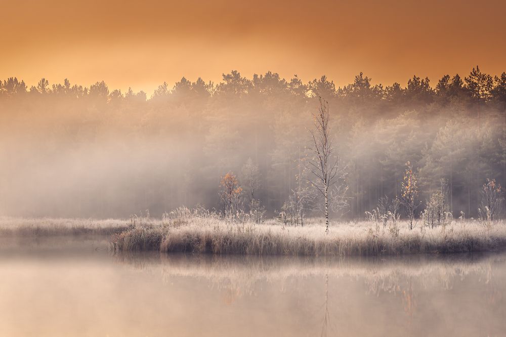 Photograph by Евгений Москвин
