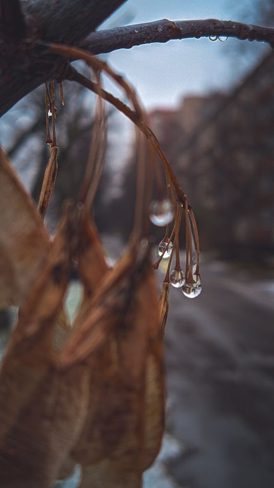 Photograph by Анечка Машенькина