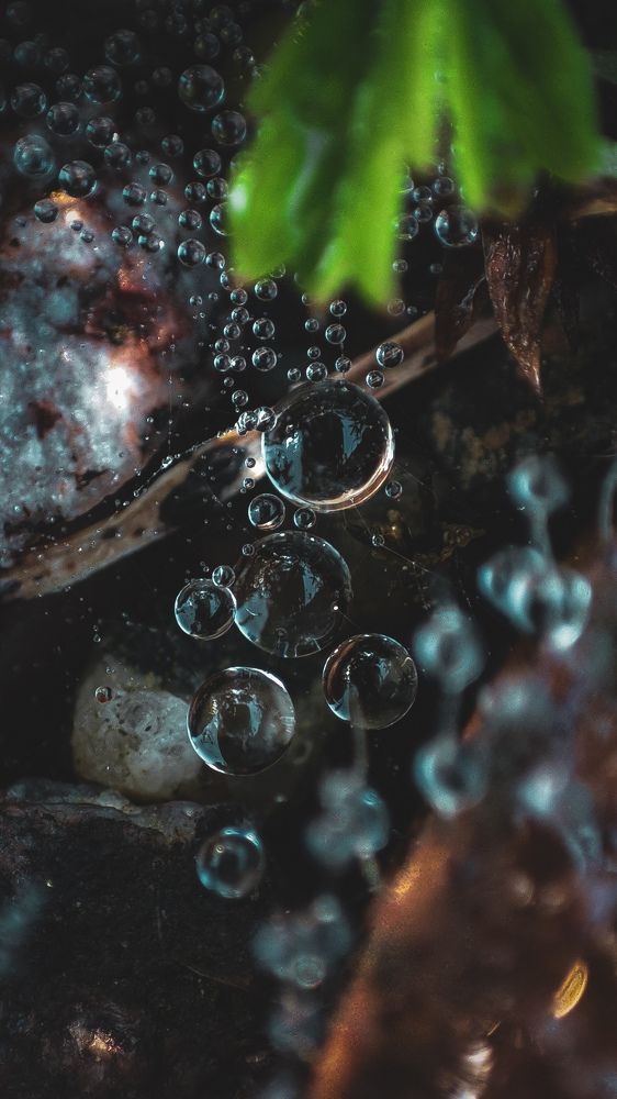 Photograph by Анечка Машенькина