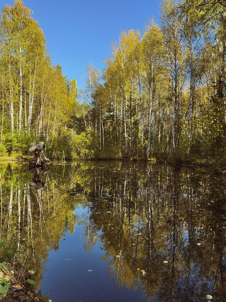 Однажды осенью