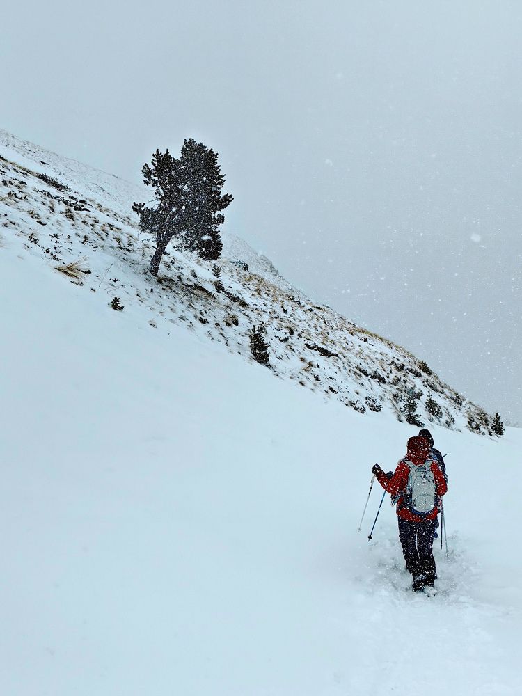 Фотография автора Наталия